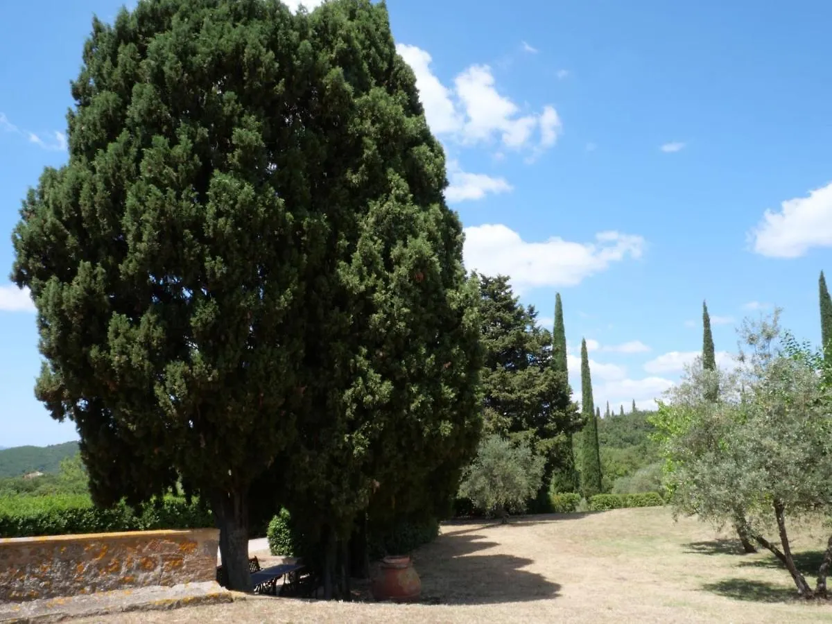 Apartment La Torre By Interhome Podere Caminino